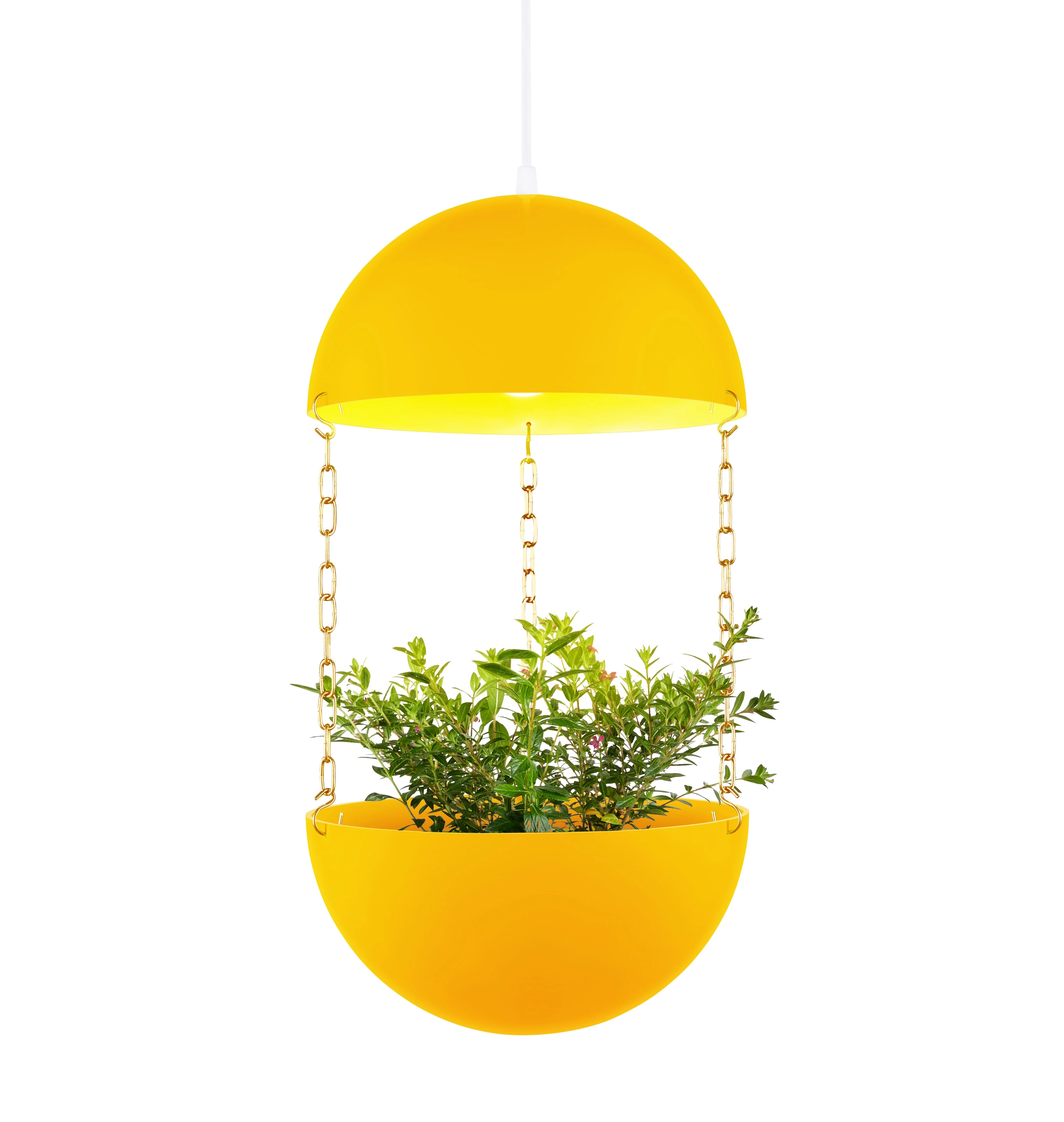 Pendant Planter - Image 3