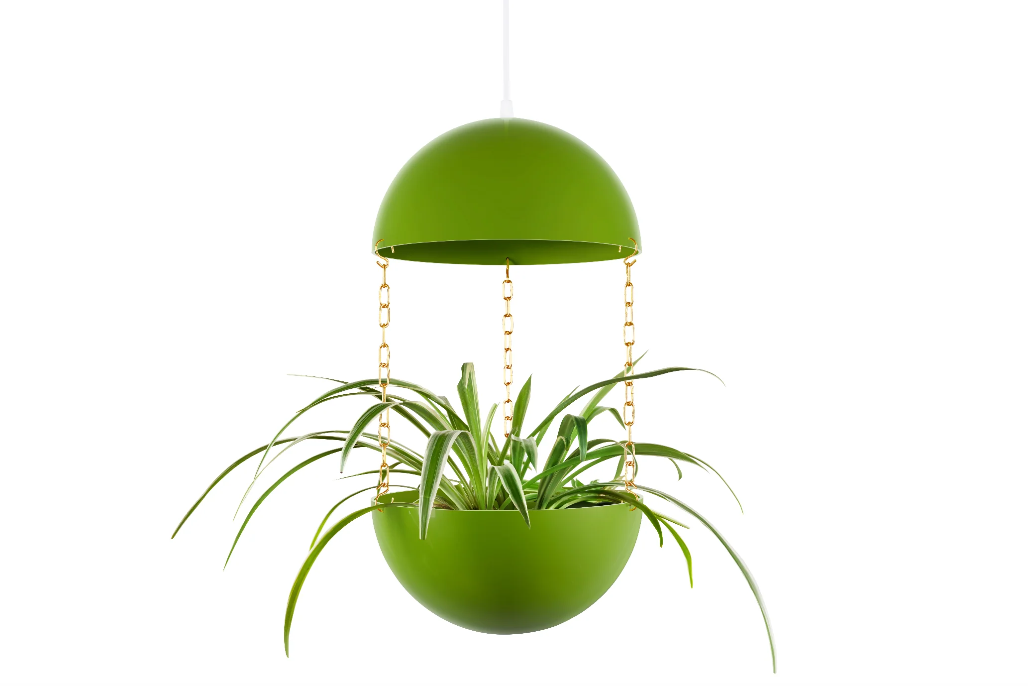Pendant Planter - Image 6